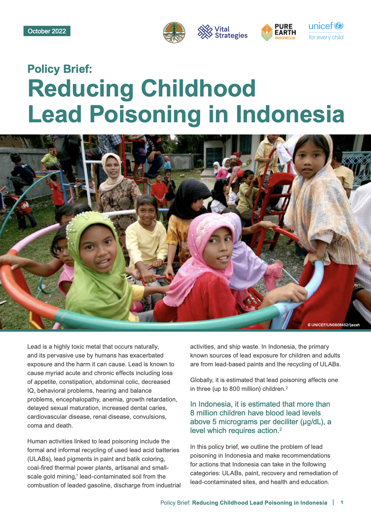 Policy Brief: Reducing Childhood Lead Poisoning in Indonesia