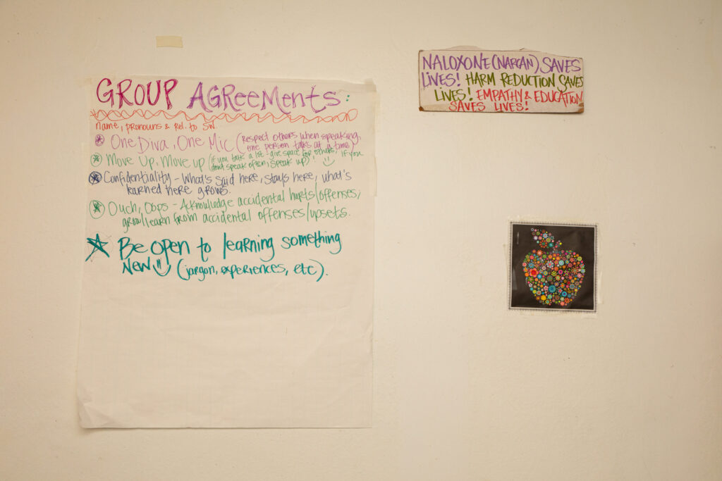 Elevating Women, Queer People and Trans People in Harm Reduction: Project SAFE