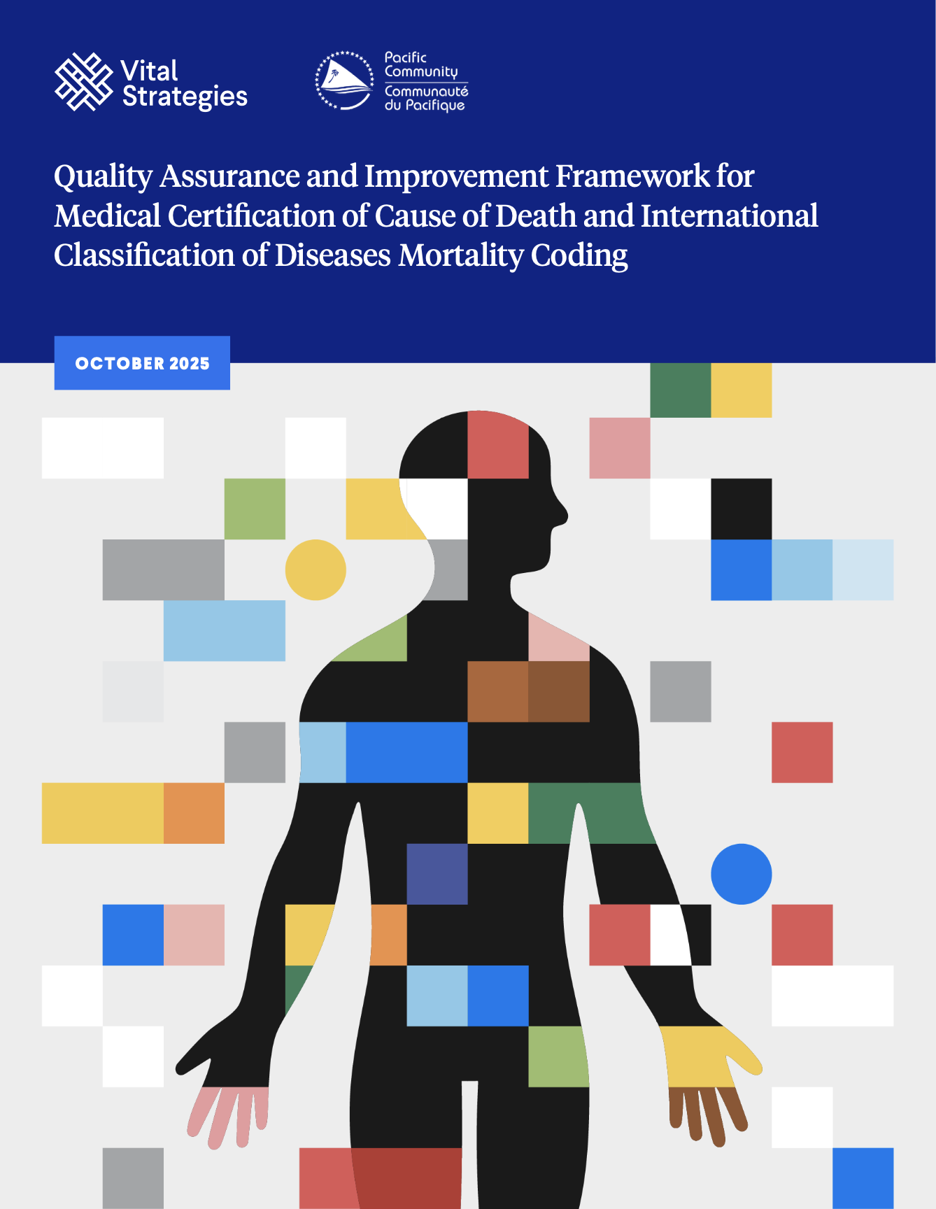 Quality Assurance and Improvement Framework for Medical Certification of Cause of Death and International Classification of Diseases Mortality Coding
