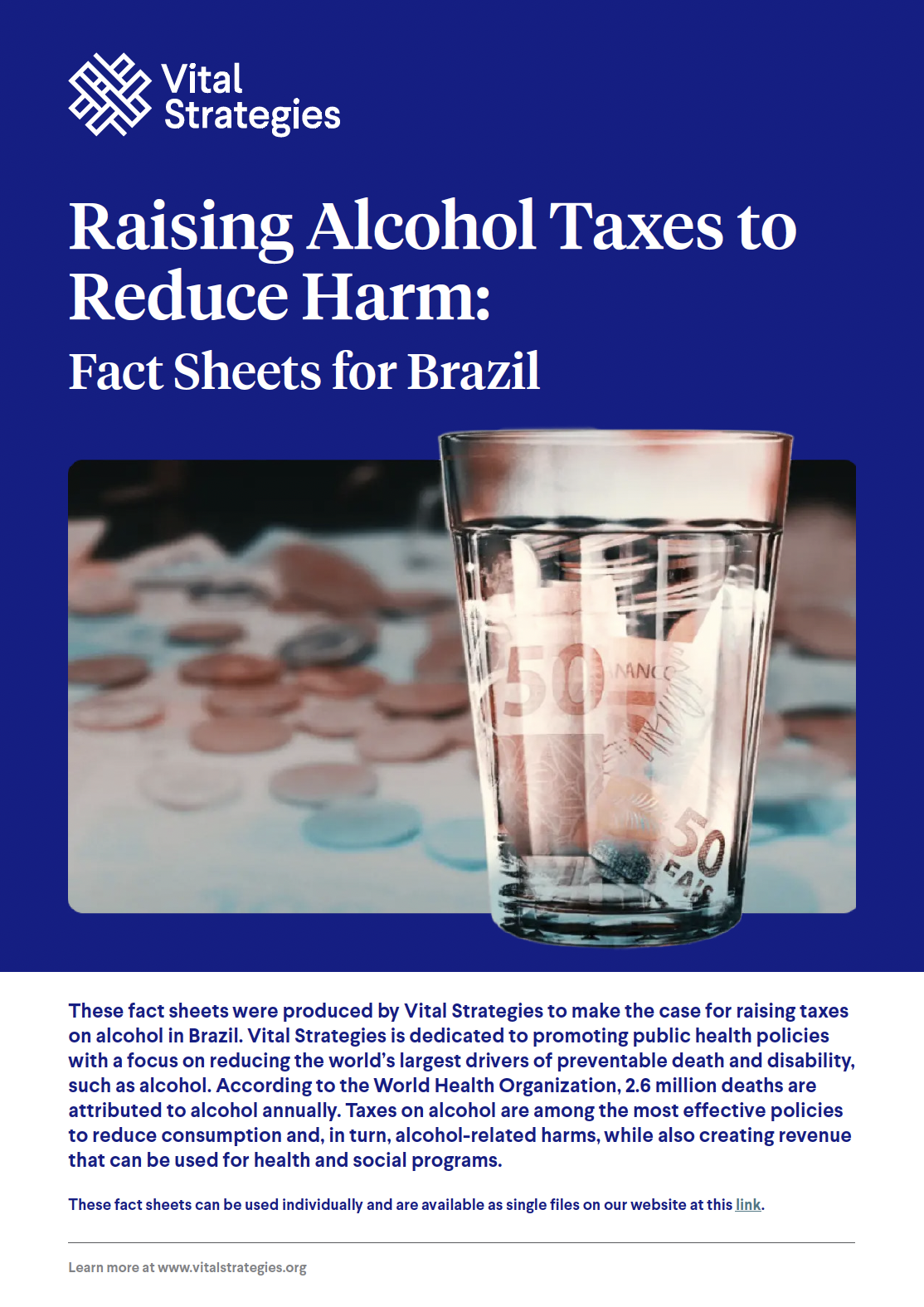 Raising Alcohol Taxes to Reduce Harm: Fact Sheets for Brazil