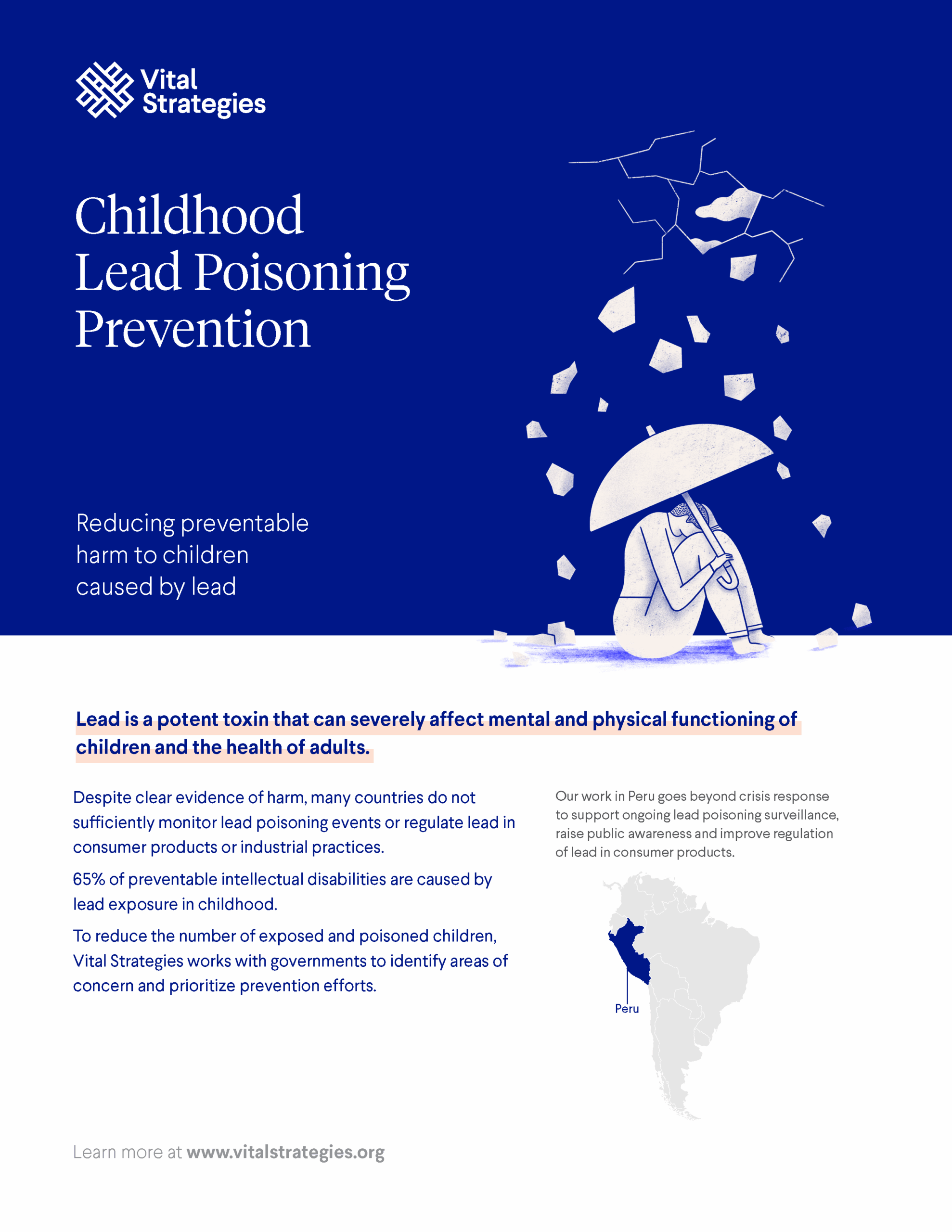 Vital Strategies – Childhood Lead Poisoning Prevention Program