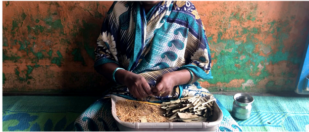 Unhealthy and Unregulated: How Bidis Are Reaching Consumers Online