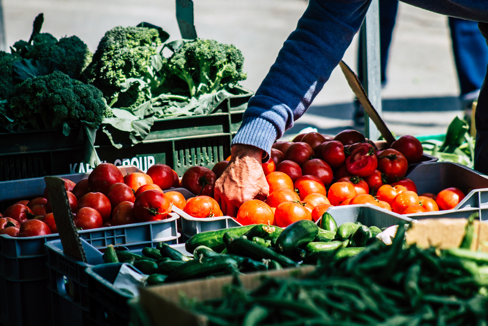 The Future of Food: How Healthy Food Policy Fellows Are Transforming Food Environments in South Africa, Colombia and Brazil