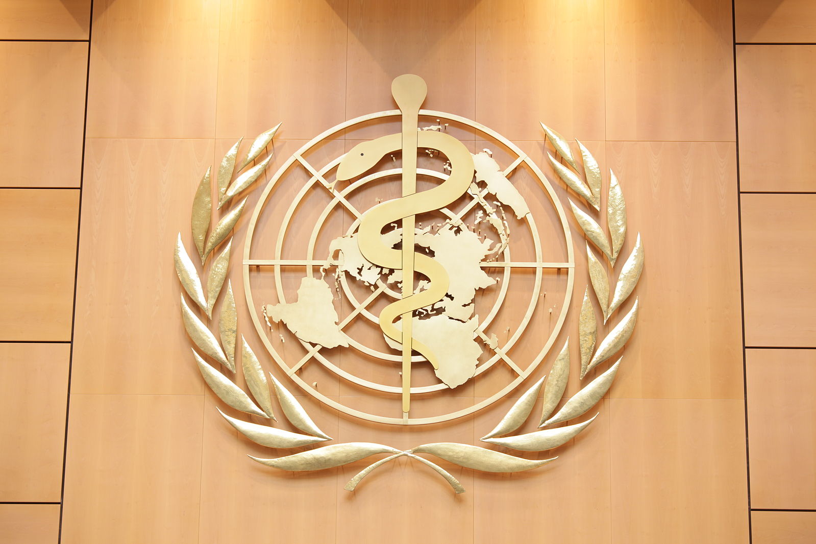 WHA Roundup Five Takeaways From The World Health Assembly 2021 is-the-who-world-health-organisation-a-front-organisation-for-the